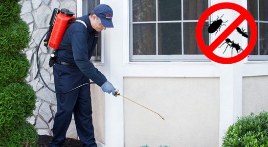 Evka 5 Gümüşkurt İlaçlama böcek ilaçlama ve haşere kontrolü — ilaclama-tr.com